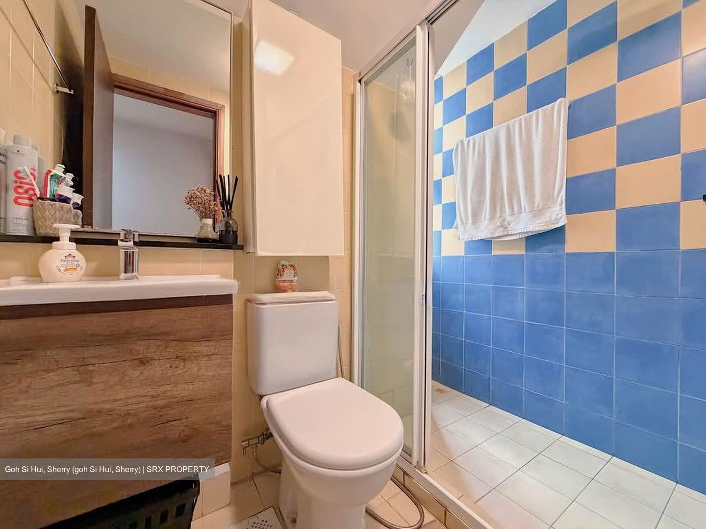 Forest Hills Condominium (D26), Condominium #566070971
